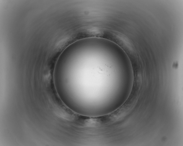 X0000091930320200709051507