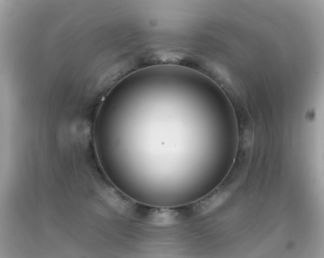 X0000091930321200709051507