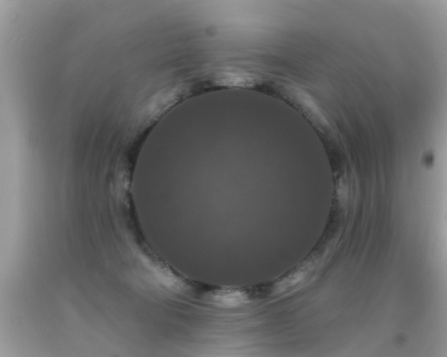 X0000091930322200709051507