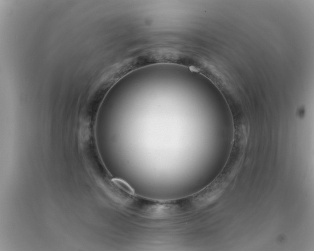 X0000091930323200709051507