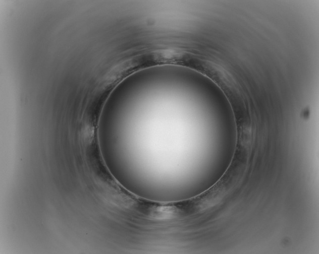 X0000091930324200709051507