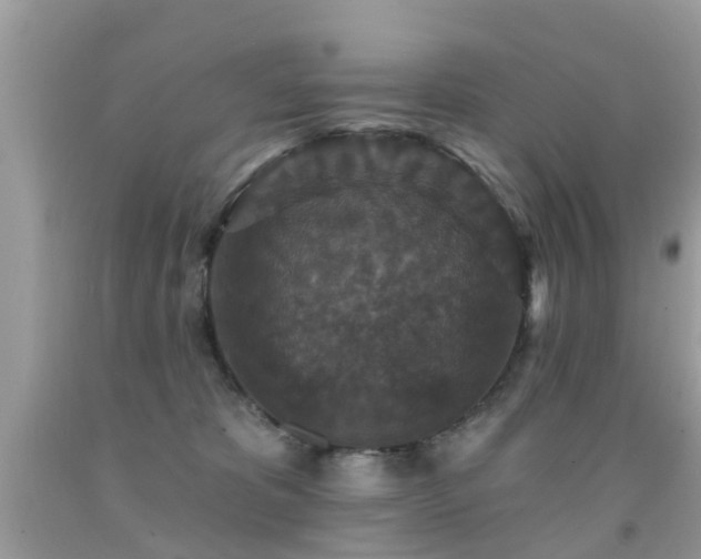 X0000091930325200709051507