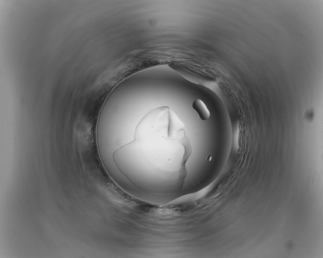 X0000091930327200709051507