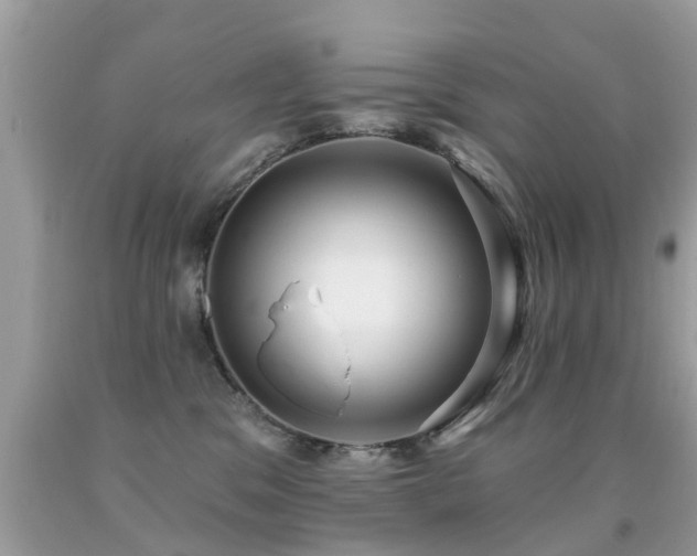 X0000091930329200709051507