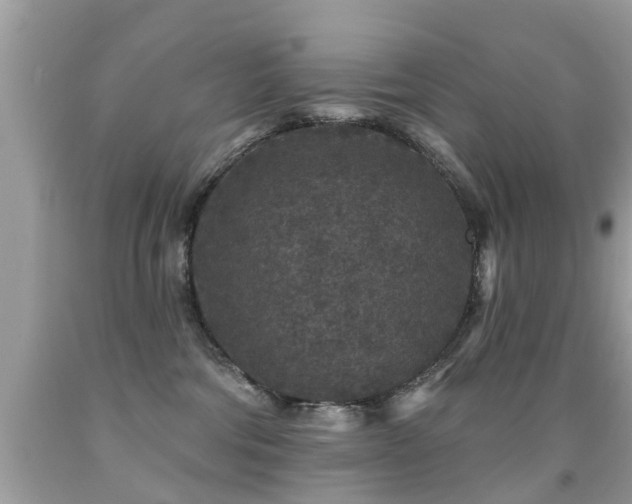 X0000091930330200709051507