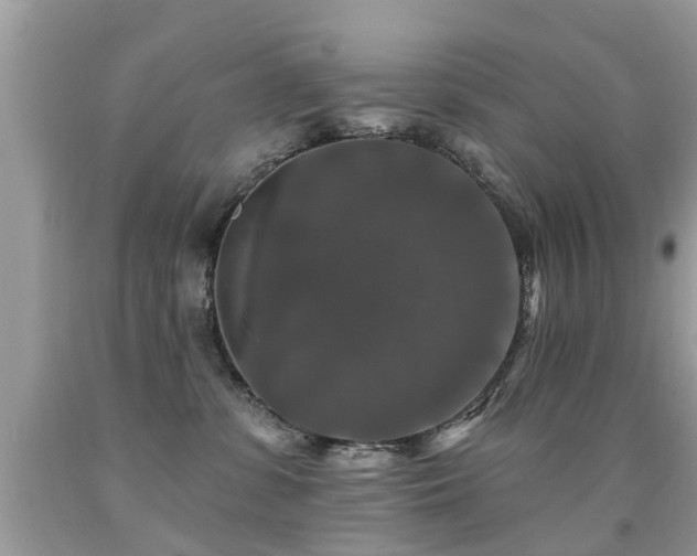 X0000091930331200709051507