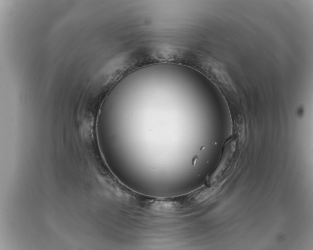 X0000091930332200709051507