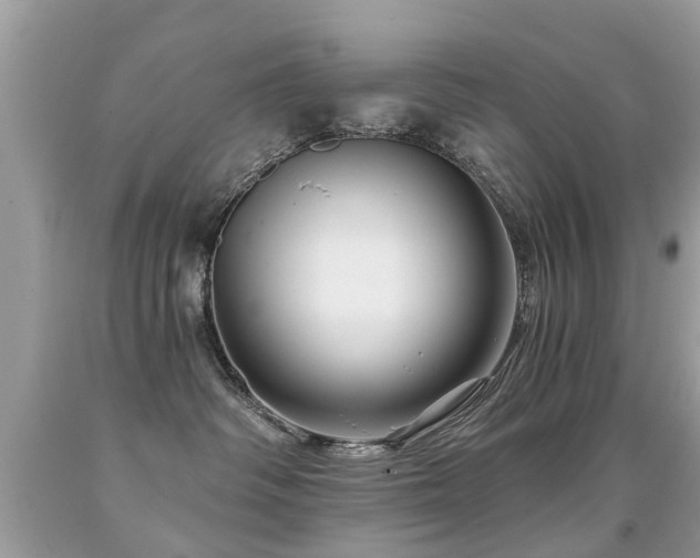 X0000091930334200709051507