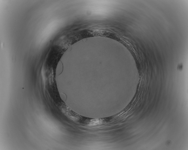 X0000091930335200709051507