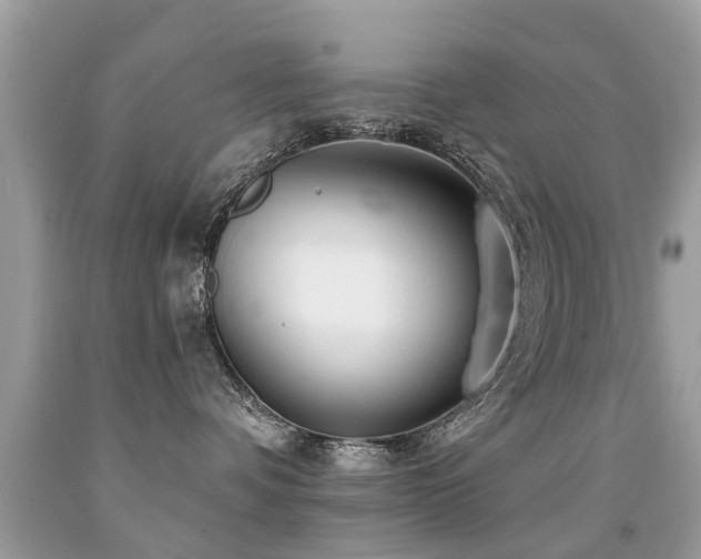 X0000091930336200709051507