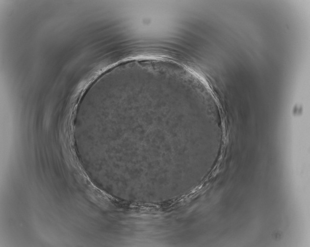 X0000091930337200709051506