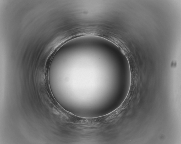 X0000091930338200709051506