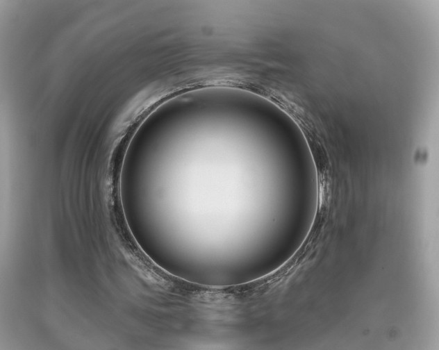 X0000091930339200709051506