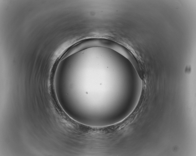 X0000091930340200709051506