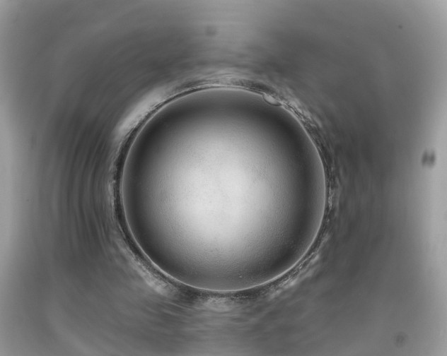 X0000091930341200709051506