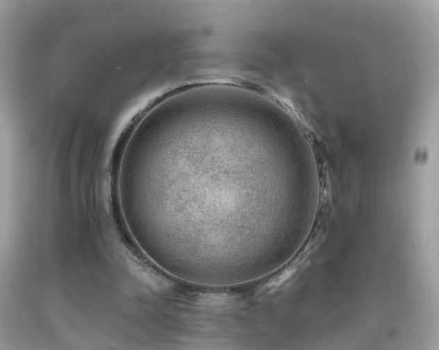 X0000091930342200709051506