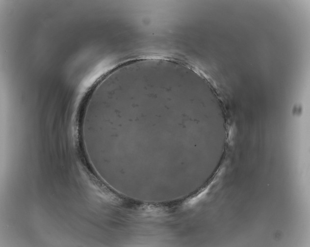 X0000091930343200709051506