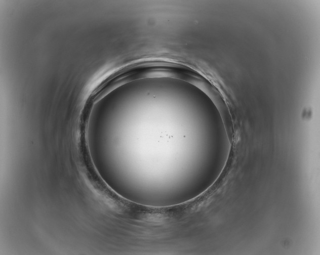 X0000091930344200709051506