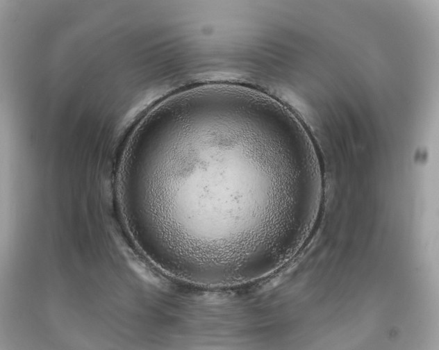 X0000091930345200709051506