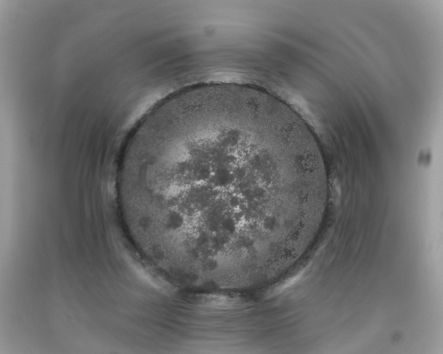 X0000091930347200709051506