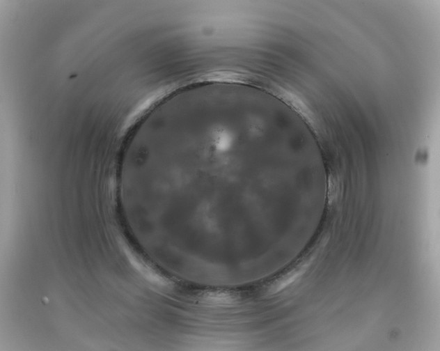 X0000091930349200709051506