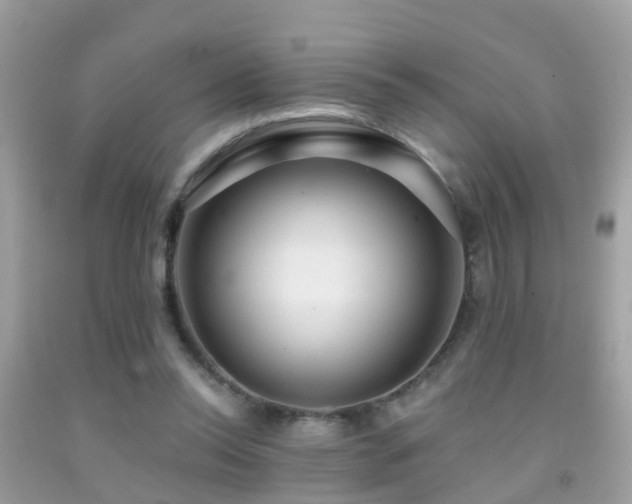X0000091930350200709051506