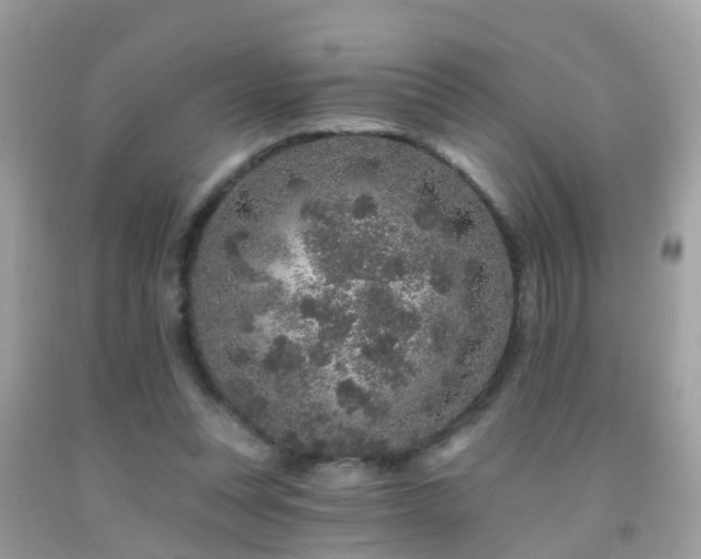 X0000091930351200709051506