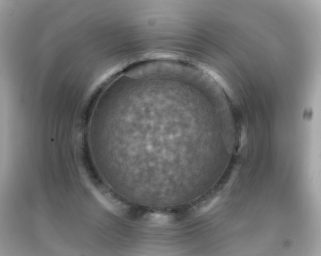 X0000091930352200709051506