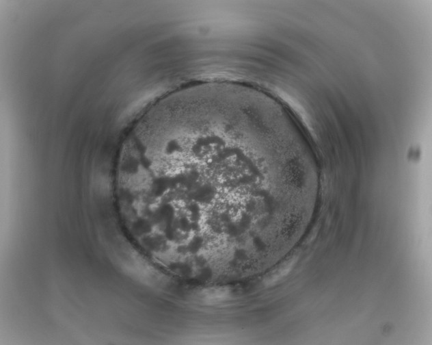 X0000091930353200709051506