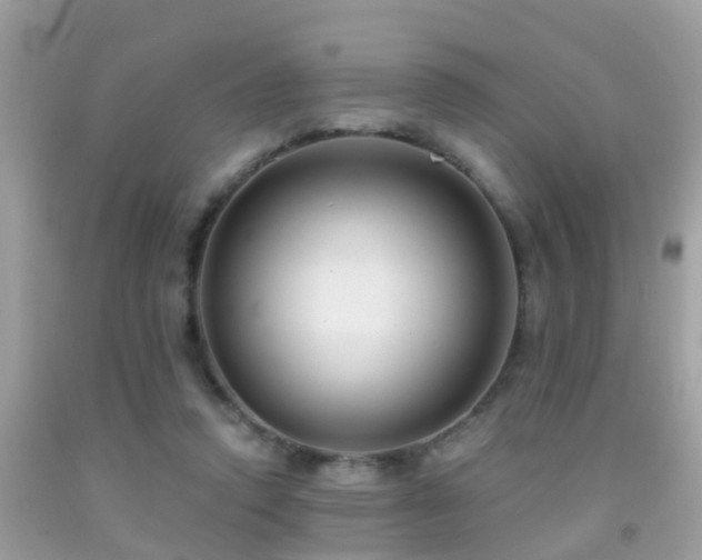 X0000091930354200709051506