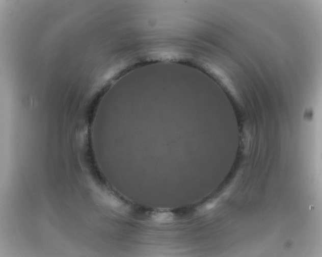 X0000091930355200709051506