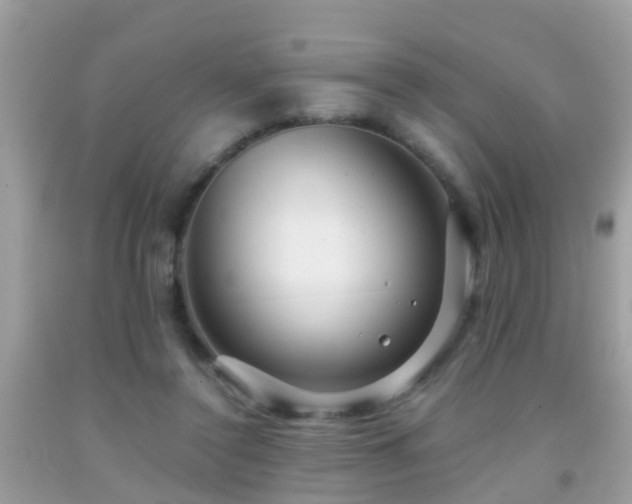 X0000091930356200709051506