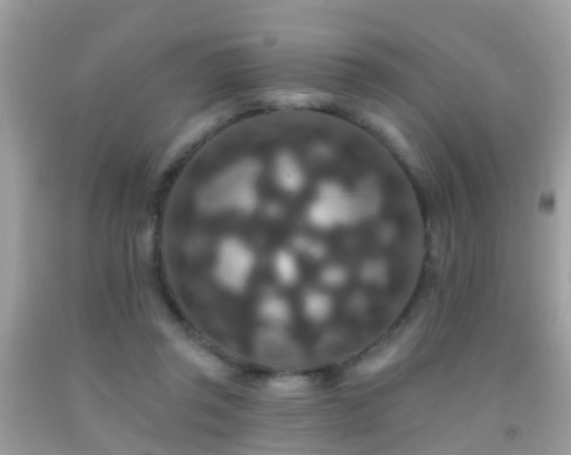 X0000091930357200709051506