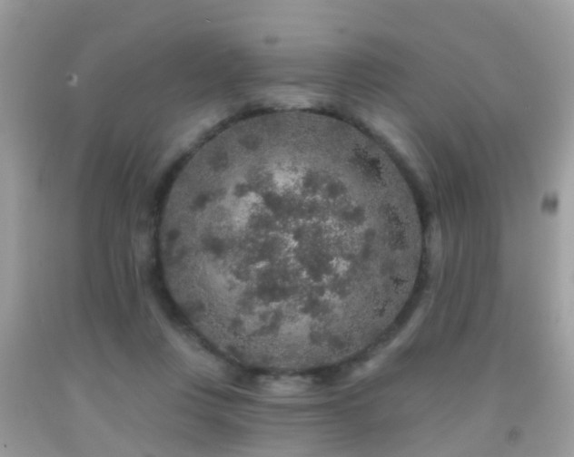 X0000091930359200709051506