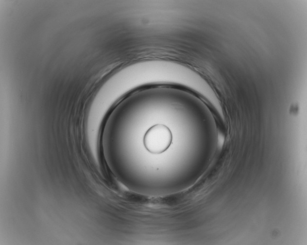 X0000091930360200709051506