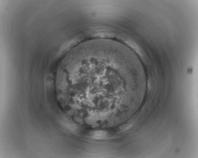 X0000091930361200709051506