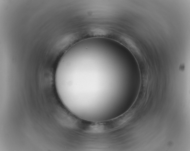 X0000091930362200709051506