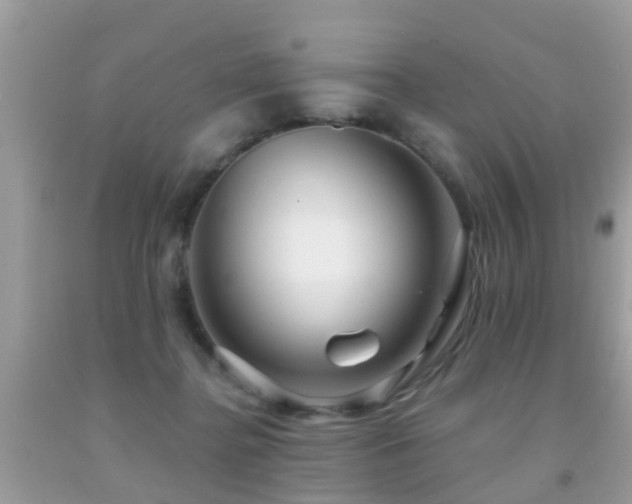 X0000091930364200709051506