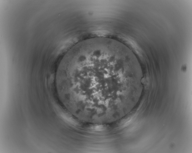 X0000091930365200709051506
