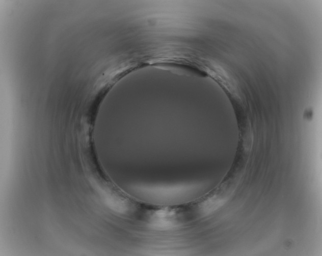 X0000091930366200709051506