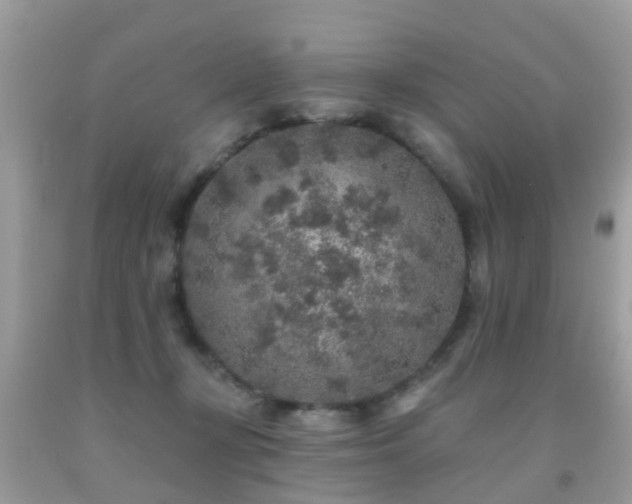 X0000091930367200709051506