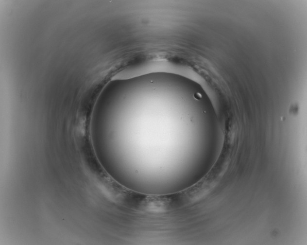 X0000091930368200709051506