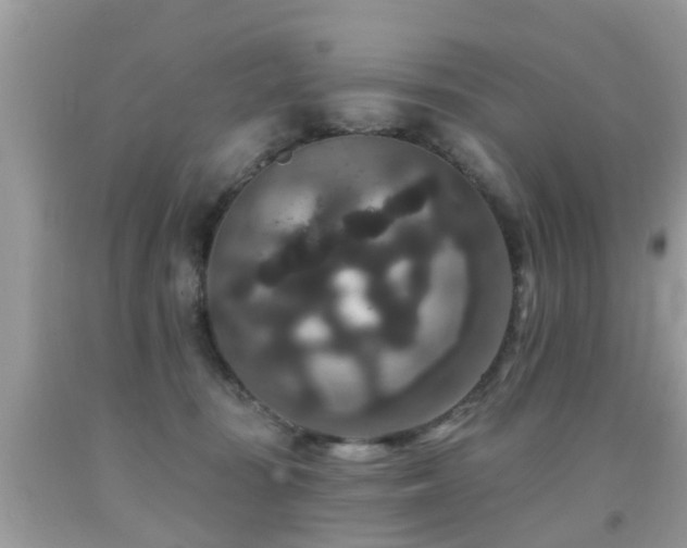 X0000091930371200709051506