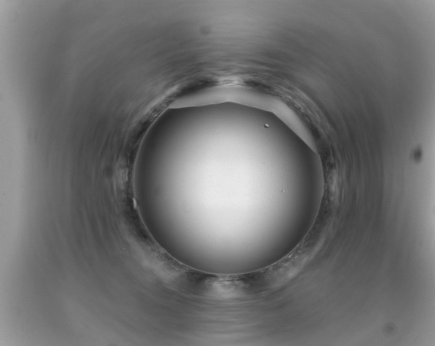X0000091930372200709051506