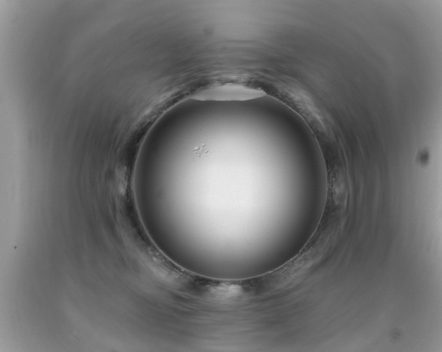 X0000091930374200709051506