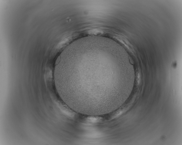 X0000091930375200709051506