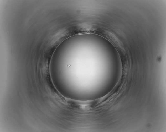 X0000091930376200709051506