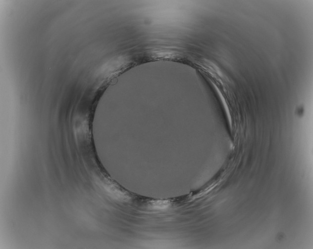 X0000091930377200709051506