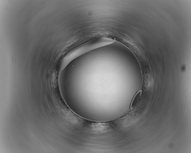 X0000091930378200709051506