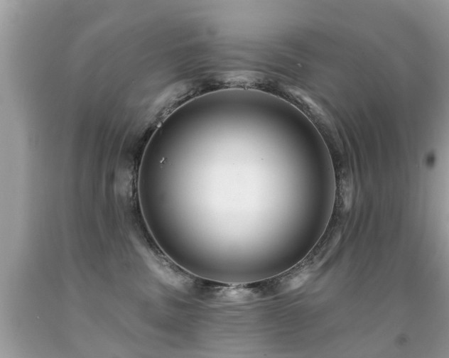X0000091930379200709051506